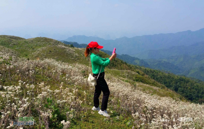 靖西同德乌鸦山- 小小高原景迷人 - 靖西网