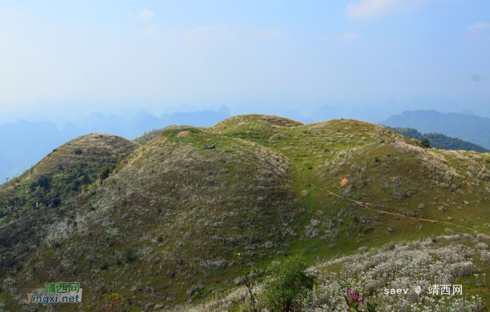 靖西同德乌鸦山- 小小高原景迷人 - 靖西网