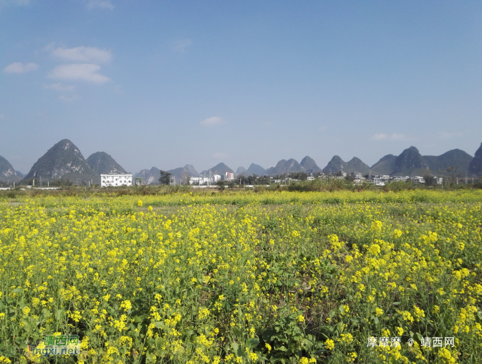 春节近，菜花香，即将客运的靖西市火车站远景。 - 靖西网