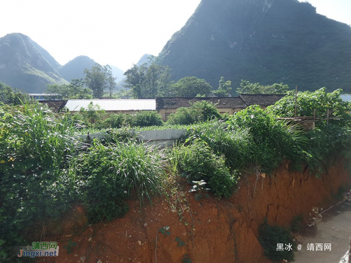 一直关注德爱的发展，发一组春节时候回家拍的图 - 靖西网 - 第16页