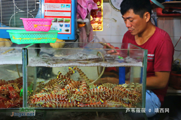 用味蕾偶遇一场视觉盛宴 - 靖西网