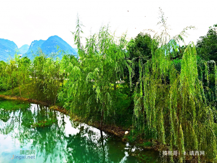 靖西市“一潭碧水两岸柳，一城山色半城湖” - 靖西网