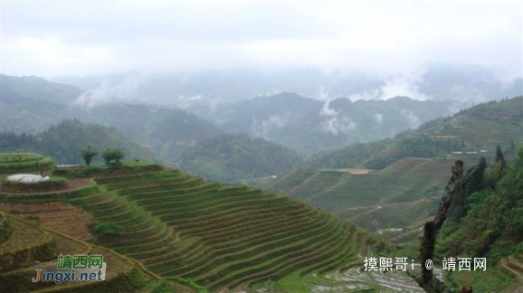 靖西山水真奇妙，通灵瀑布落寒峭。 龙潭湖水深千尺，巴泽梯田连天高。 - 靖西网