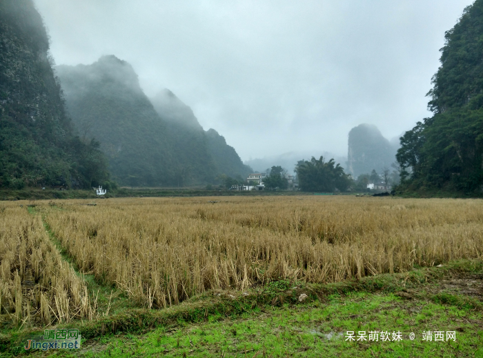 烟雨蒙蒙，画里乡村 - 靖西网