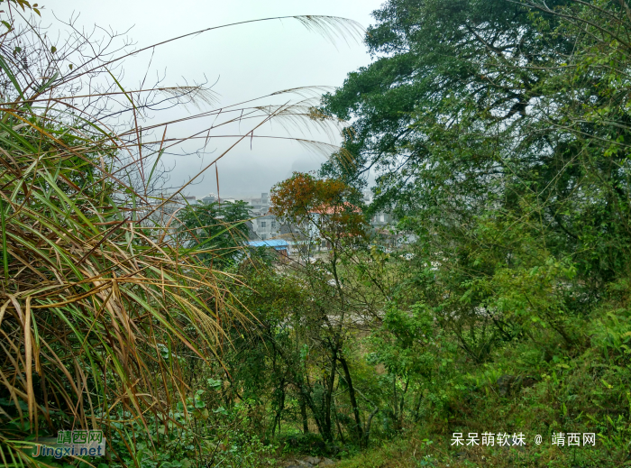 烟雨蒙蒙，画里乡村 - 靖西网