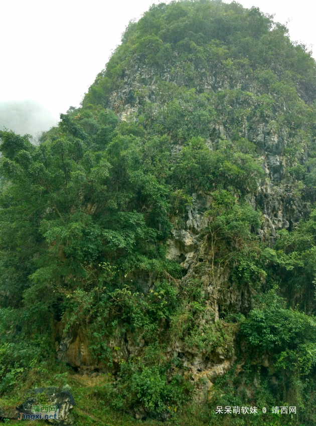 烟雨蒙蒙，画里乡村 - 靖西网