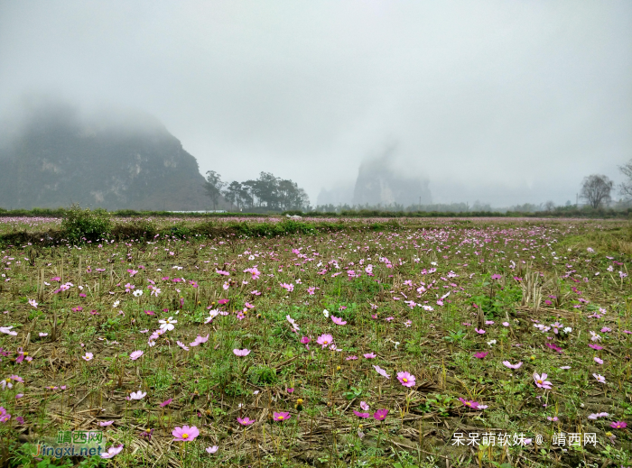 烟雨蒙蒙，画里乡村 - 靖西网