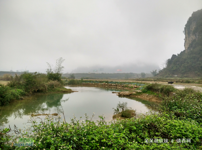 烟雨蒙蒙，画里乡村 - 靖西网