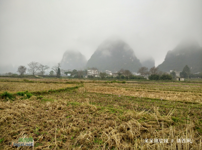 烟雨蒙蒙，画里乡村 - 靖西网