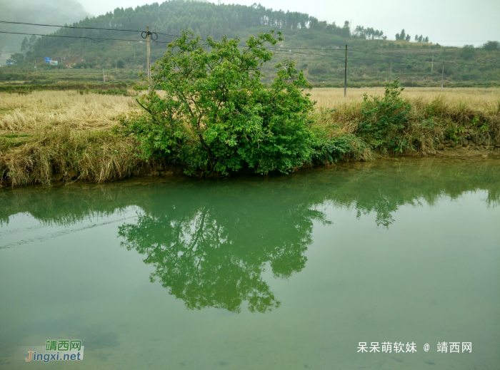 烟雨蒙蒙，画里乡村 - 靖西网