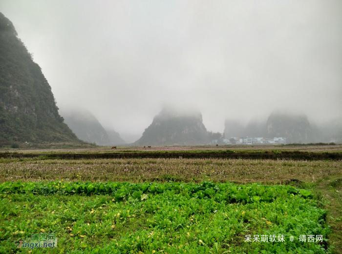 烟雨蒙蒙，画里乡村 - 靖西网