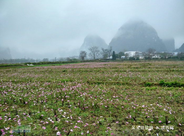 烟雨蒙蒙，画里乡村 - 靖西网