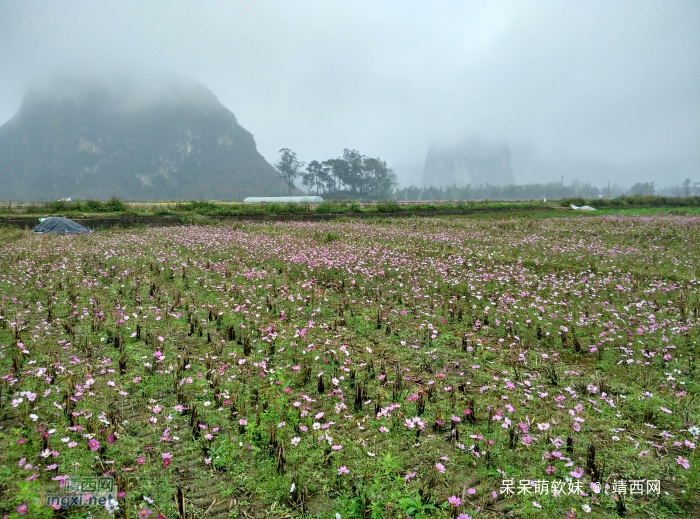 烟雨蒙蒙，画里乡村 - 靖西网