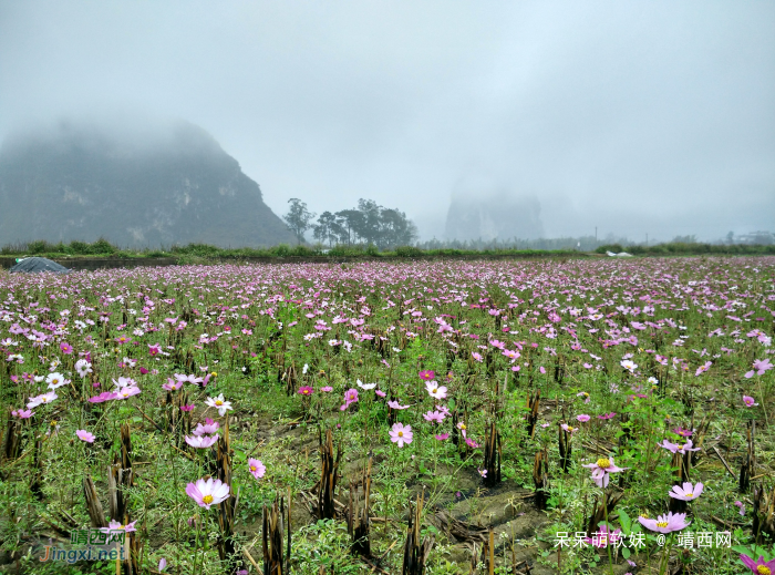 烟雨蒙蒙，画里乡村 - 靖西网