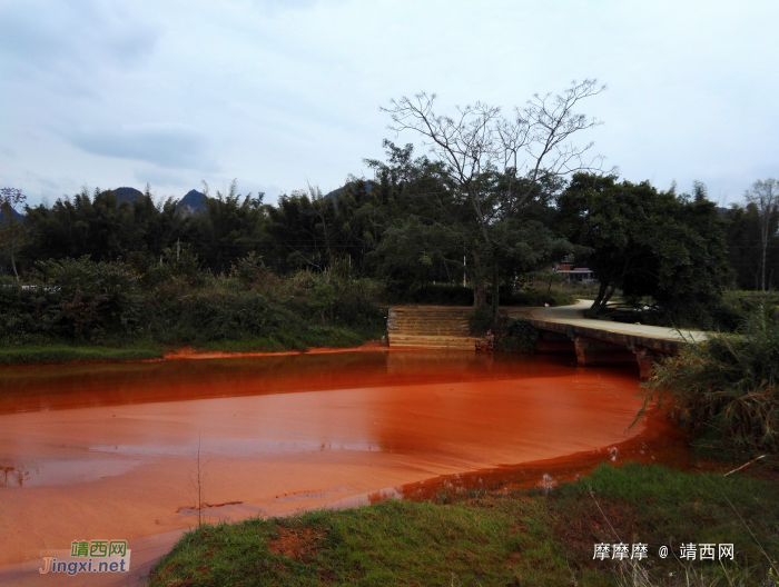 靖西红水河又干净了，鱼儿回来了——靖西新景区，红水河风光（下）。 - 靖西网