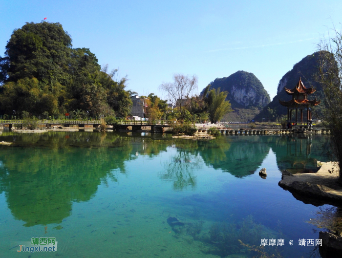 鹅泉全天风景欣赏。早上拍到下午，靖西鹅泉风光。 - 靖西网