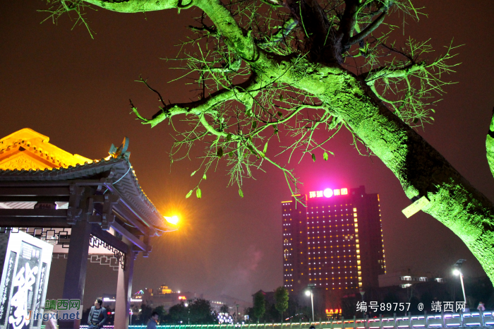 也发鹅字亭夜景 - 靖西网