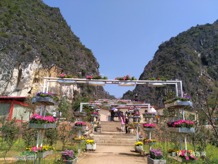 三八节靖西桃花谷碰碰桃花运收获满满的