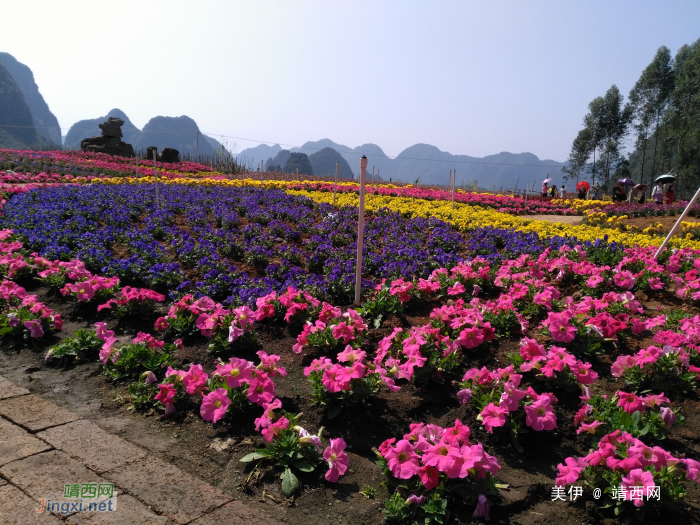 三八节靖西桃花谷碰碰桃花运收获满满的