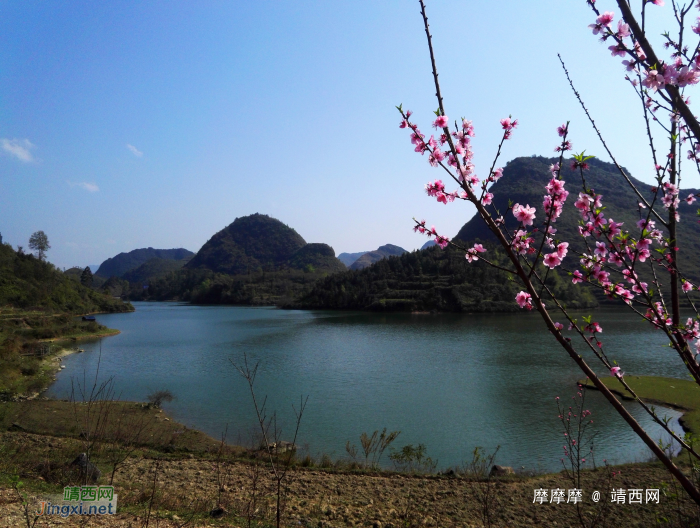 桃花版靖西朋怀湖风光。（下） - 靖西网