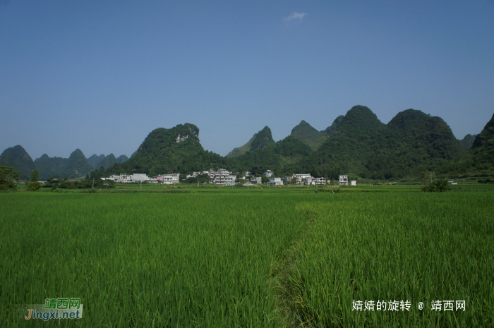 化峒镇三友村田园美景 - 靖西网