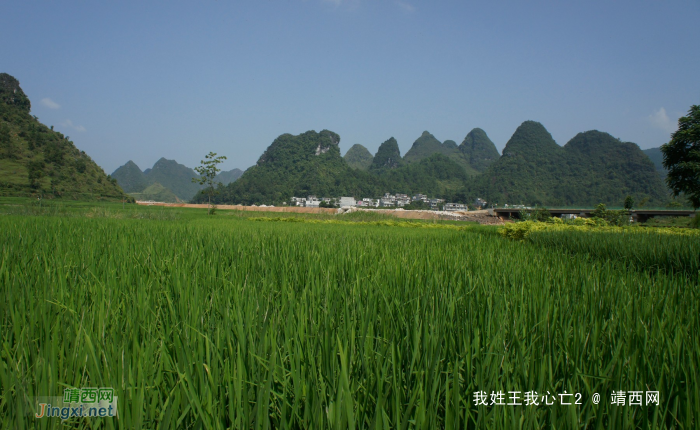 化峒镇三友村田园美景 - 靖西网