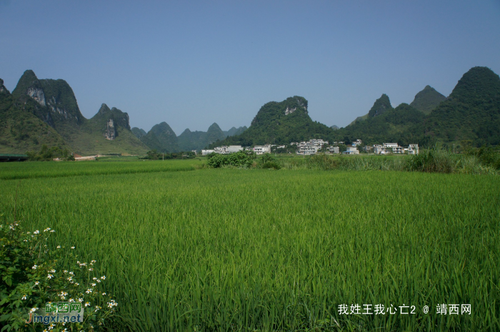 化峒镇三友村田园美景 - 靖西网