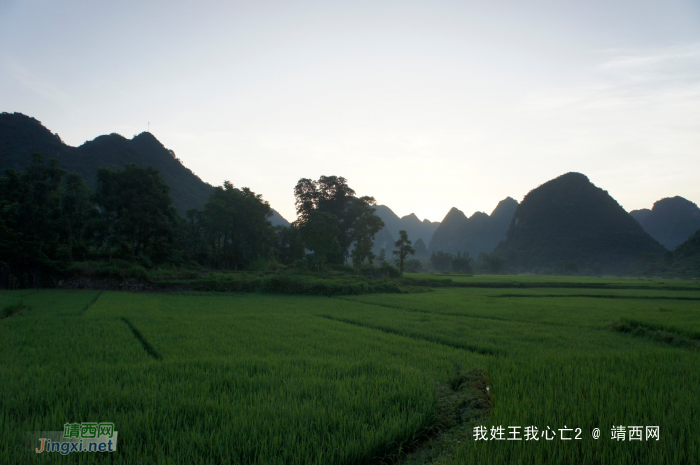 化峒镇三友村田园美景 - 靖西网