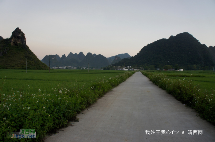 化峒镇三友村田园美景 - 靖西网