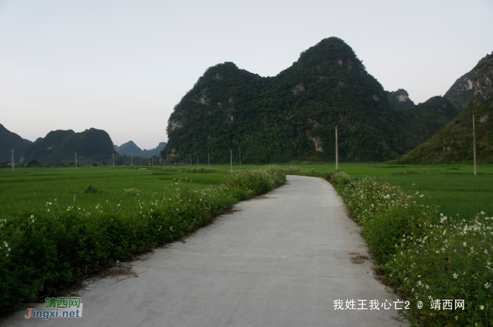 化峒镇三友村田园美景 - 靖西网