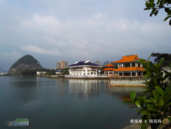 这角度很少见吧，靖西市龙潭晨曦小景。 - 靖西网