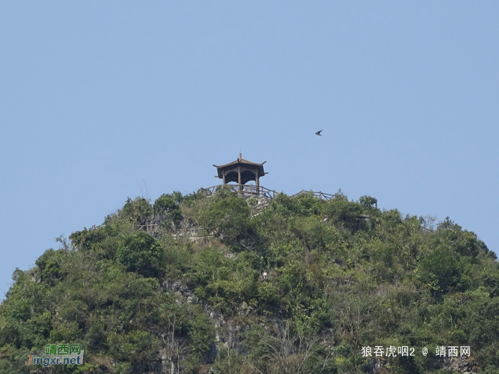 有人说平哥爱枪，其实哥不仅玩枪还特喜欢弄炮 - 靖西网