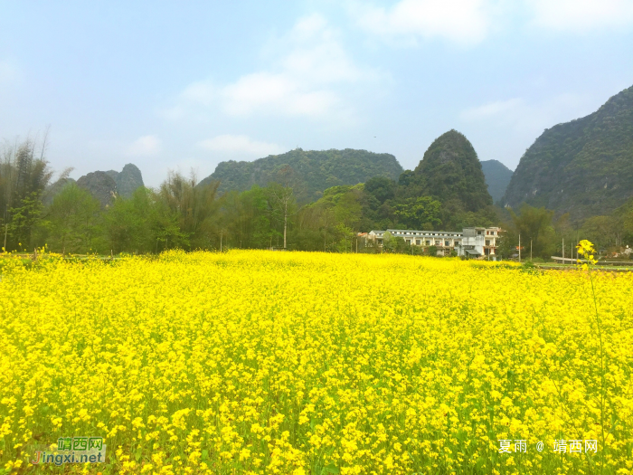 几处桃红柳叶青，数点春山满翠微。三月景，宜醉不宜醒 - 靖西网