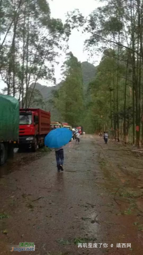 回顾靖西那场具有灾害性的暴风雨夹冰雹残局 - 靖西网