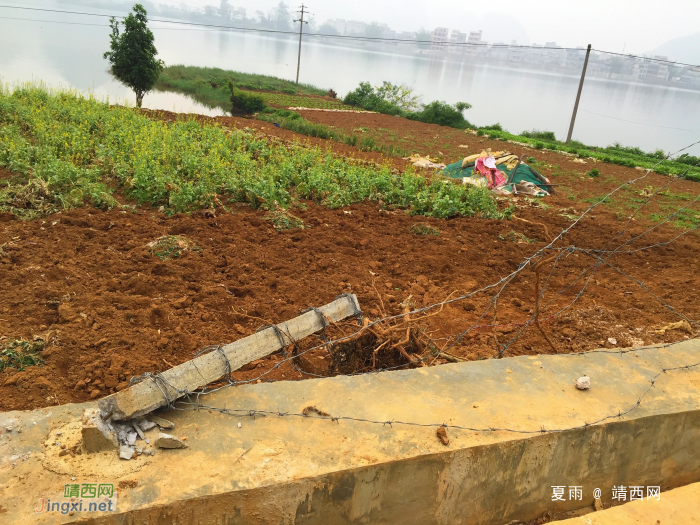龙潭湖边上铁丝网的最终命运，将是变成一堆垃圾，被人扫之 - 靖西网