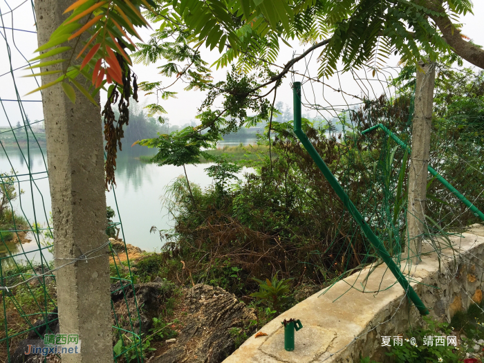 龙潭湖边上铁丝网的最终命运，将是变成一堆垃圾，被人扫之 - 靖西网