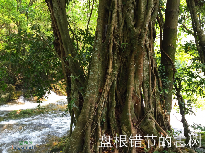 一个自然原始生态保护完好的小山村 - 靖西网