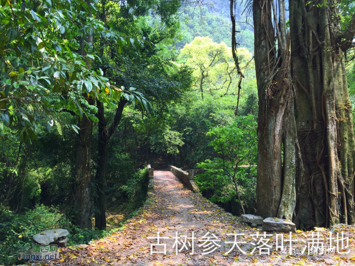 一个自然原始生态保护完好的小山村 - 靖西网