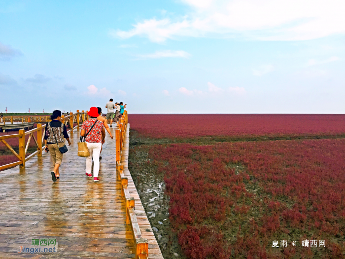 辽宁盘锦红海滩景区 - 靖西网