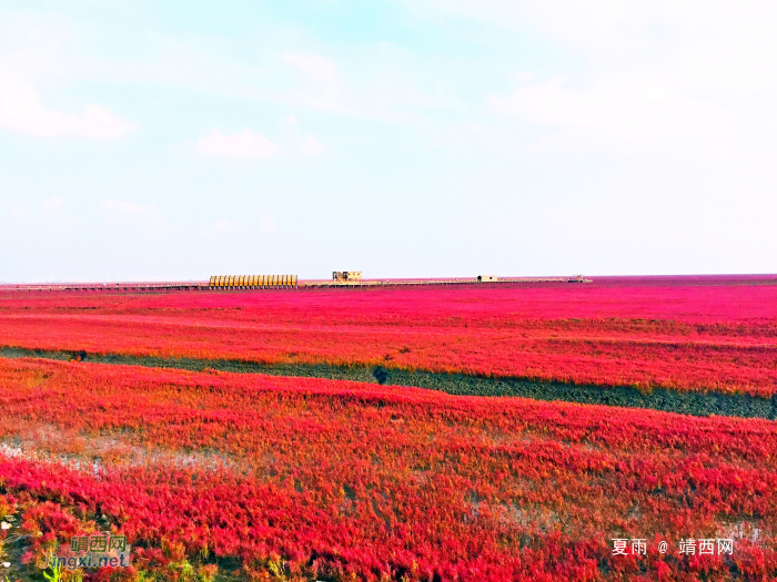 辽宁盘锦红海滩景区 - 靖西网