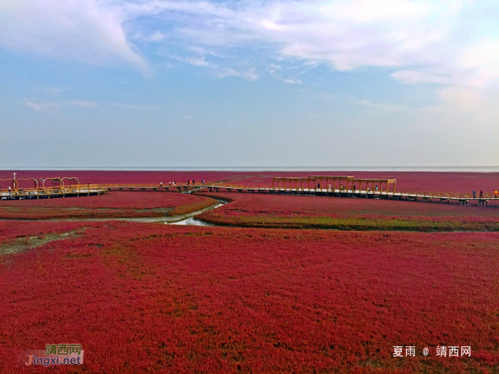 辽宁盘锦红海滩景区 - 靖西网