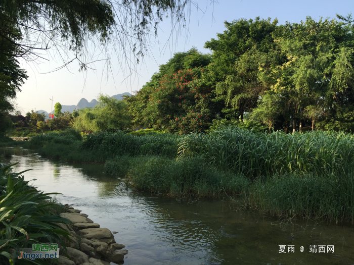 斜阳下的龙潭河风光：流水清清悄然去，夏木荫荫正可人。 - 靖西网