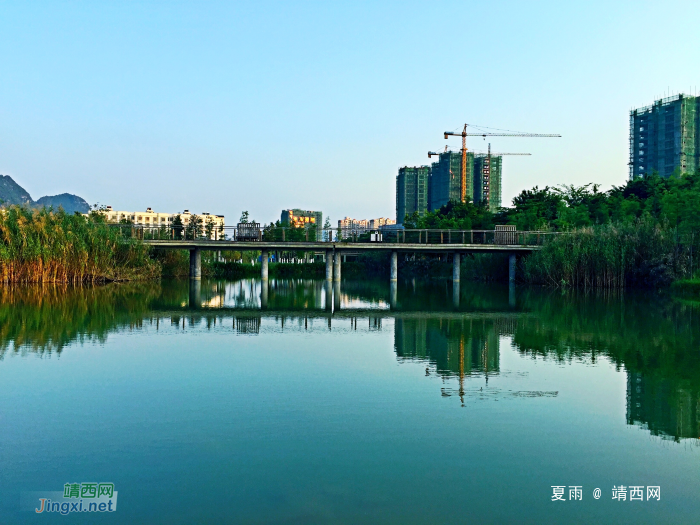 斜阳下的龙潭河风光：流水清清悄然去，夏木荫荫正可人。 - 靖西网