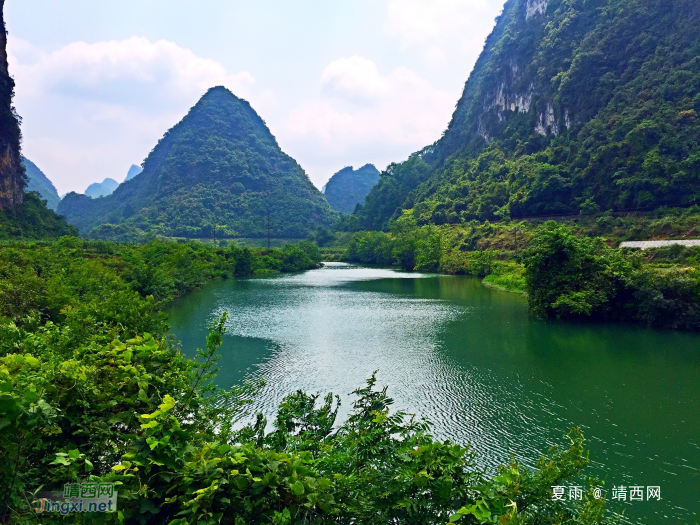 緑色的靖西之夏：绿的流水绿的山，绿的人家绿的树。绿的田园绿的 - 靖西网