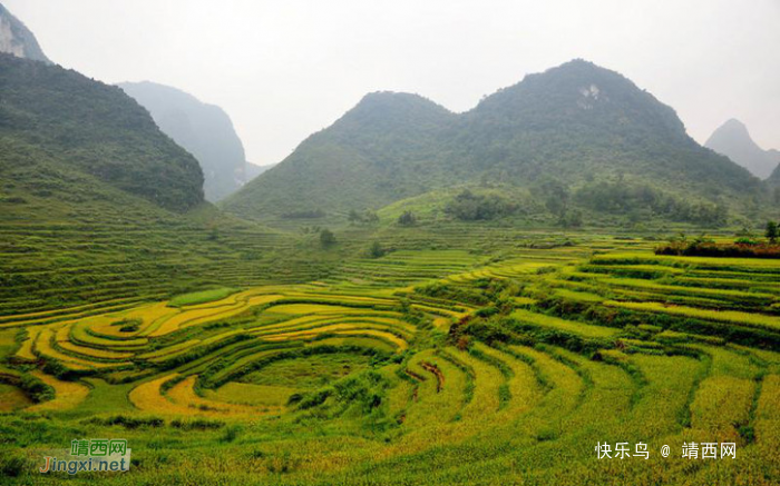 靖西旅游景点回顾，那些美得让你窒息美景！ - 靖西网