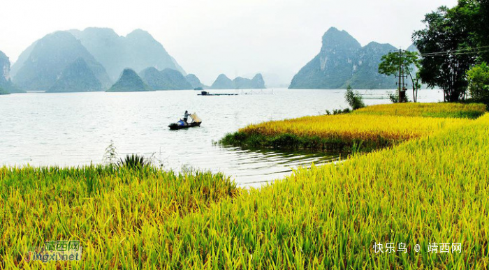 靖西旅游景点回顾，那些美得让你窒息美景！ - 靖西网