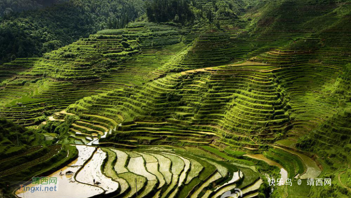 靖西旅游景点回顾，那些美得让你窒息美景！ - 靖西网