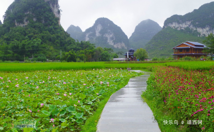 靖西旅游景点回顾，那些美得让你窒息美景！ - 靖西网