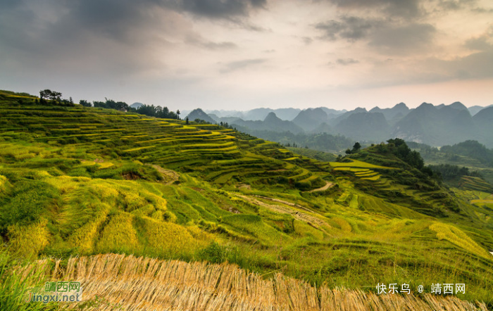 靖西旅游景点回顾，那些美得让你窒息美景！ - 靖西网