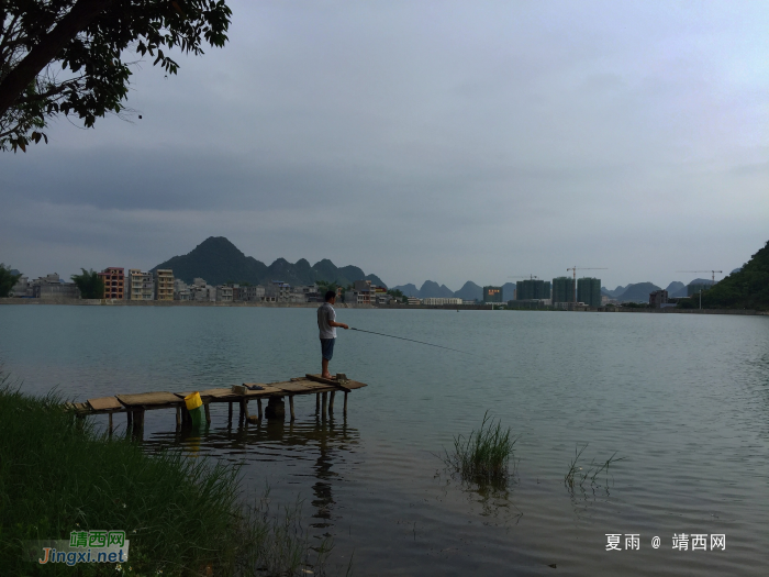 龙潭渔趣：耳听树梢鸣夕鸟，目盯浮标钓暮魚。 - 靖西网